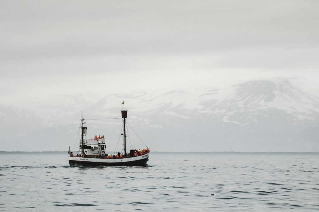 A Whale Watching boat near Husavík in North Iceland